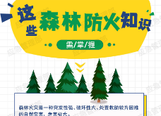 天干物燥，这些森林防火知识要掌握