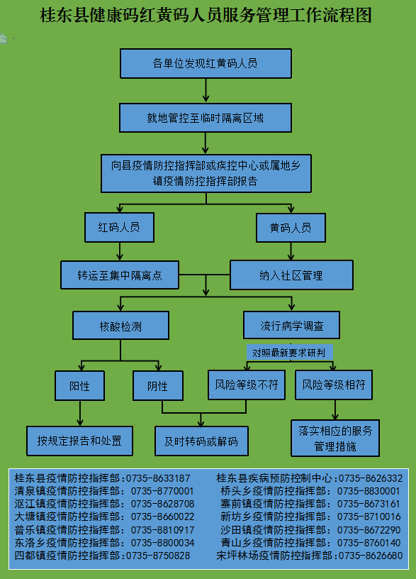 速看！桂东县红黄码人员服务管理工作流程来了
