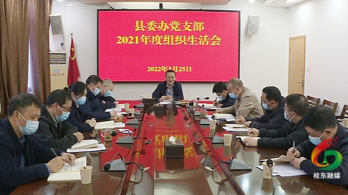 伍志平参加县委办党支部组织生活会