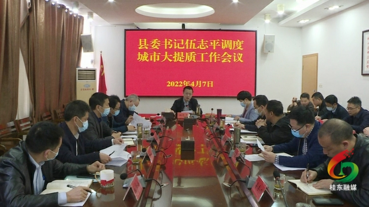 伍志平调度城市大提质工作
