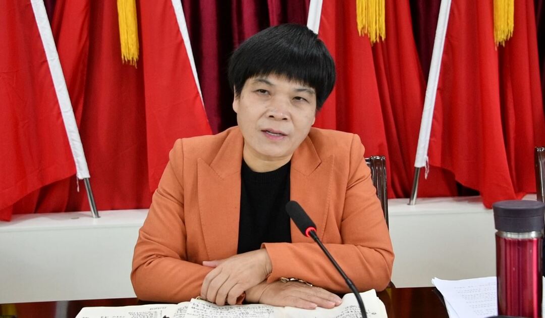 刘真督导沙田镇安全生产等工作