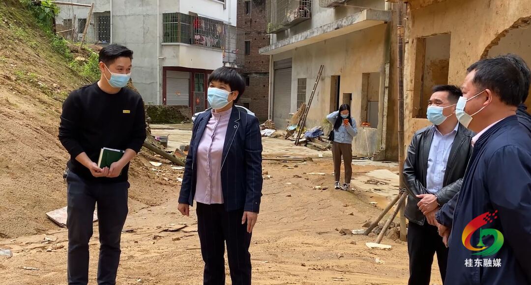 刘真检查地质灾害防治、安全生产、疫情防控工作