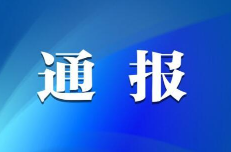 关于巡察整改进展情况的通报