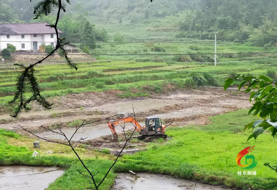 【驻村帮扶工作队】东洛乡联合村：充分发挥党建引领作用，流转土地春耕生产整地忙