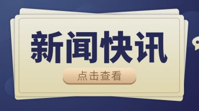伍志平调研寨前镇中心镇区建设工作