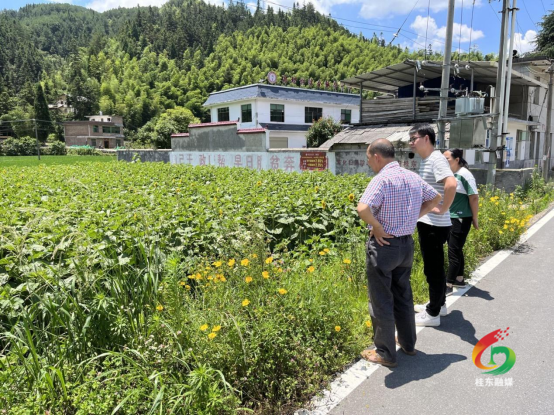 【驻村帮扶工作队】沤江镇马坊村：打造新的网红打卡