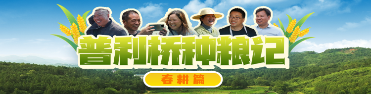 《普利桥种粮记》春耕篇