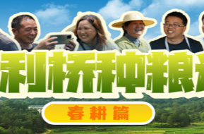 《普利桥种粮记》春耕篇