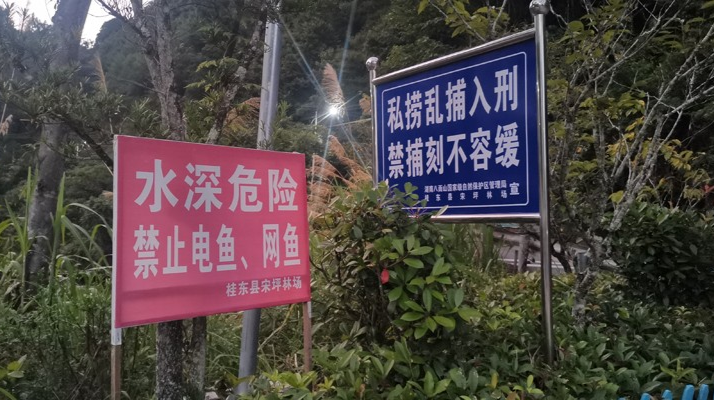 八面山管理局开展禁渔护鱼行动