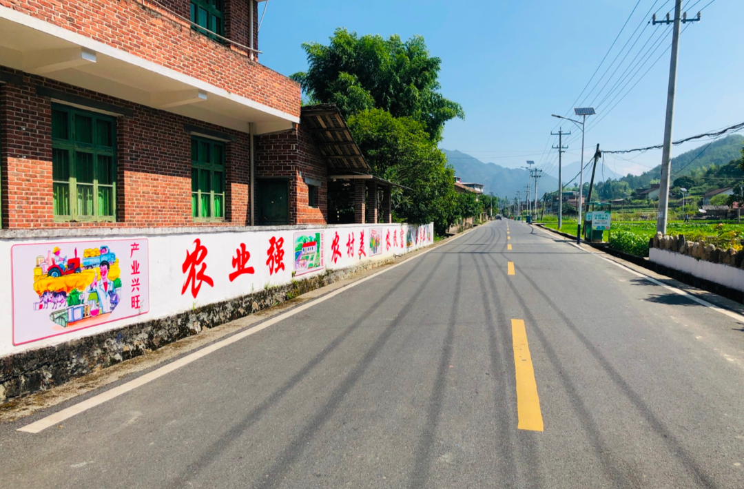 沙田镇：美丽乡村 功能贴心 服务暖心