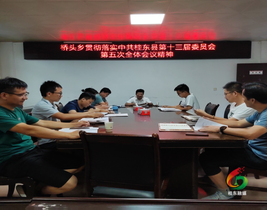 桥头乡第一时间传达学习县委十三届五次全会精神