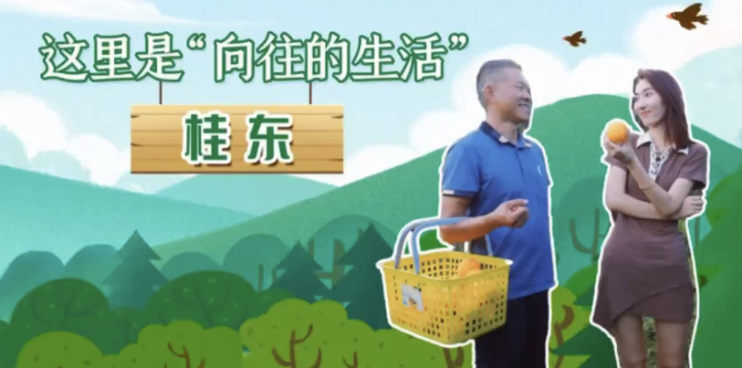 《职场小白攻略》嘘 我只是在讲述 可没有诱惑你来桂东