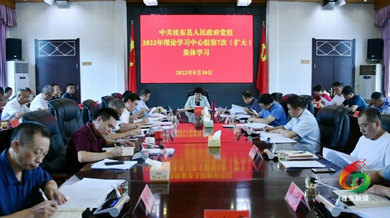 刘真主持召开县政府党组（扩大）会议