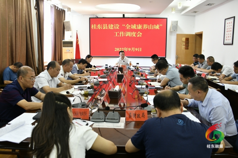 伍志平调度“全域康养山城”建设工作