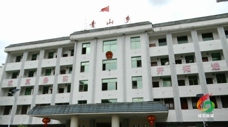 【落实市委全面督战工作】县委督战之后 青山这样干