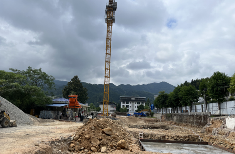 清泉镇：栽好梧桐树 引得凤凰来