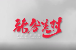张谷英宣传片