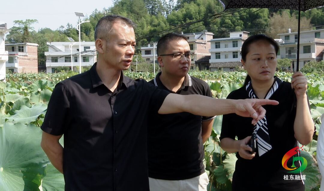 县政协组织开展巩固脱贫攻坚成果与乡村振兴有效衔接专题视察调研