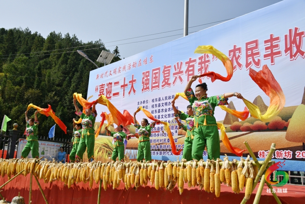 我县在新坊乡举行第五届农民丰收节庆祝活动