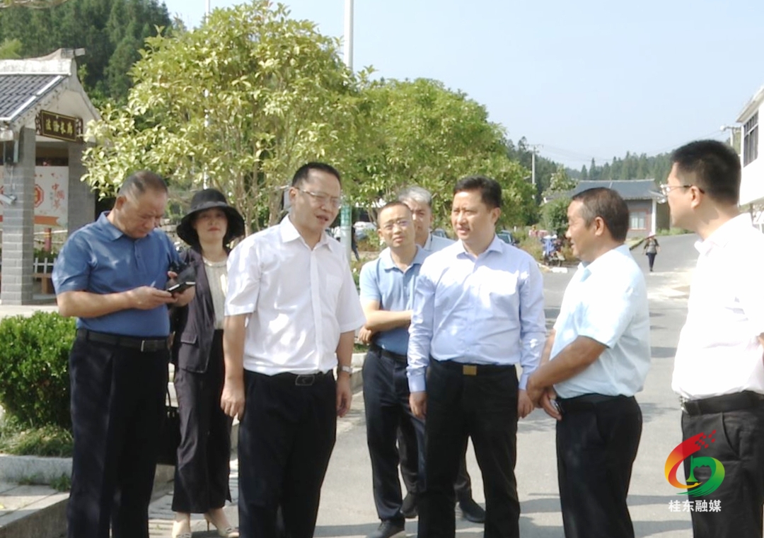 团省委书记李志超到我县调研“两个基地”建设等工作