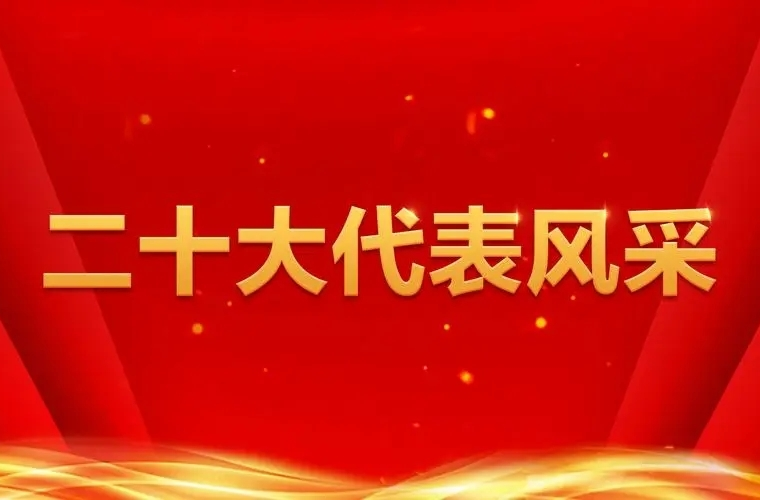 二十大代表风采