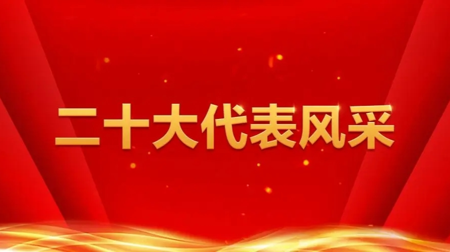 二十大代表风采