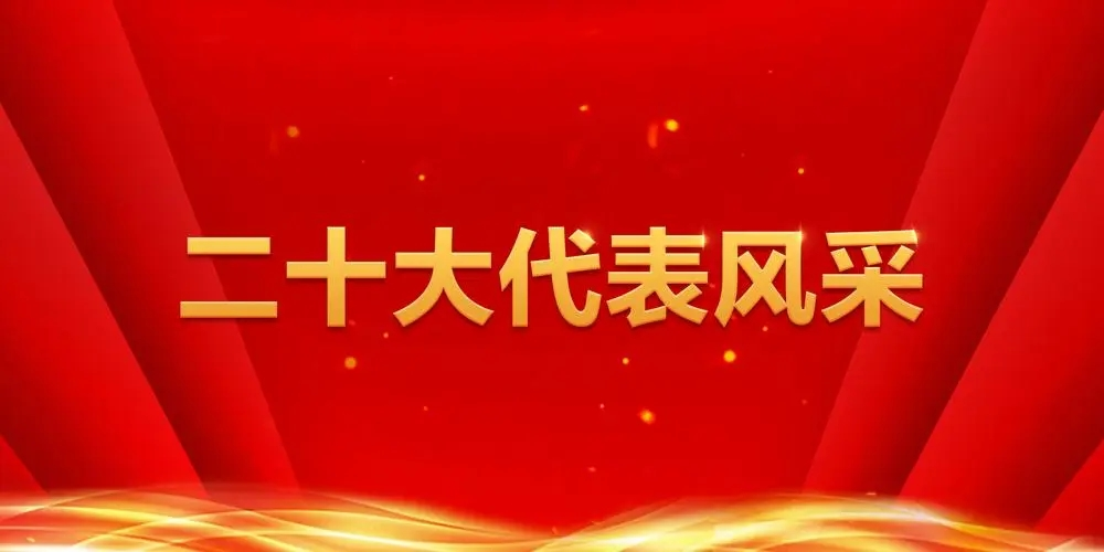 二十大代表风采