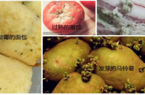 国庆宜就地过节，食品安全牢记“十要十不要”