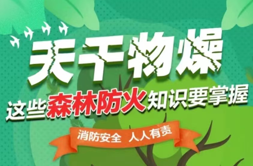 天干物燥，这些森林防火知识要掌握