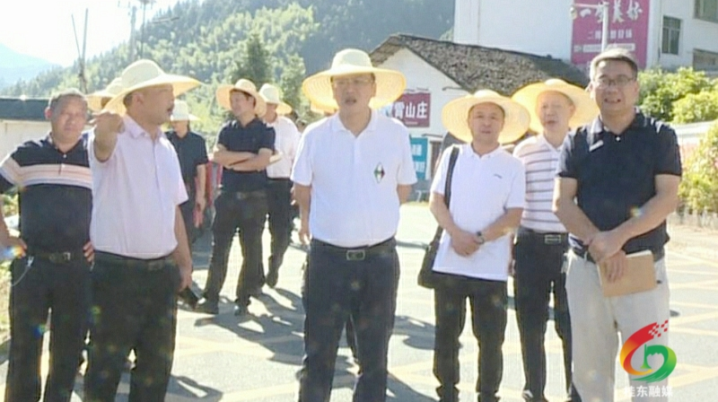 伍志平调研青竹村人居环境整治等工作