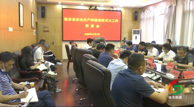 刘真调度部署安全生产和森林防灭火工作