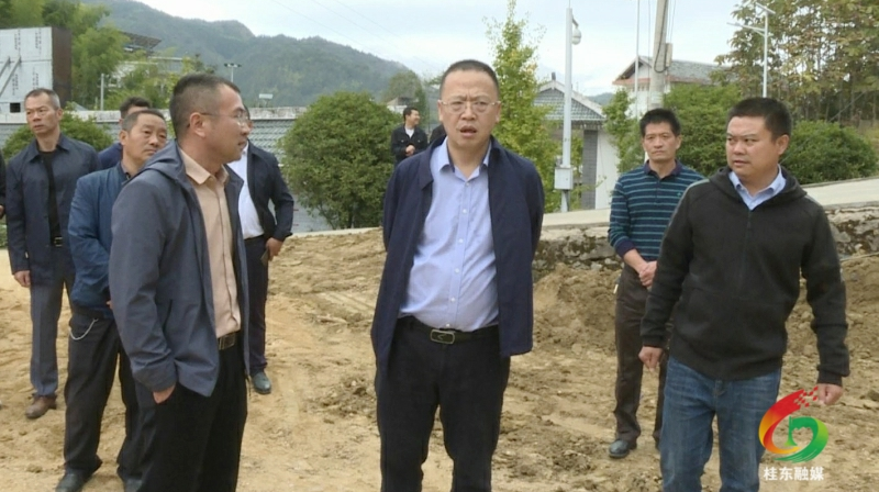 伍志平调度青竹村“两个基地”建设等工作