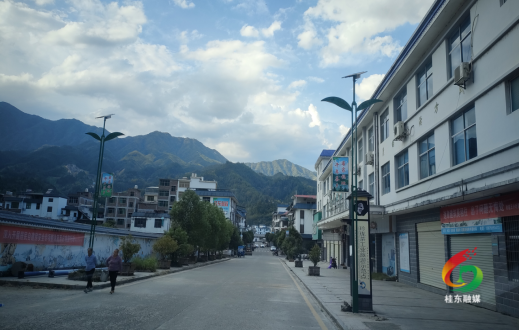 桥头乡：心系民生“办实事” 点亮群众“满意灯”