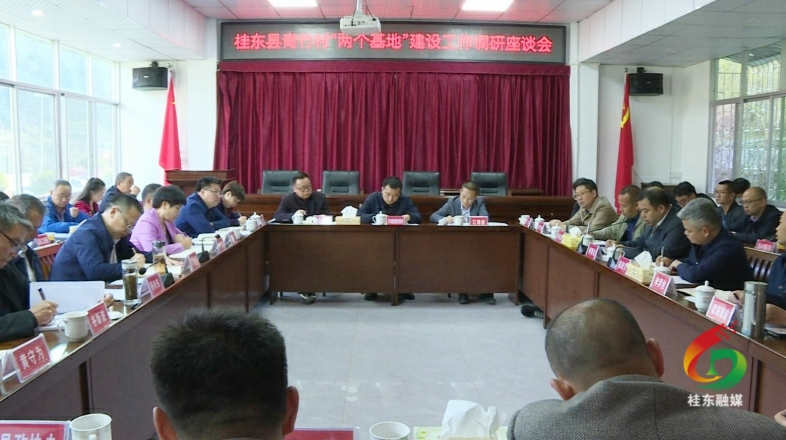 陈跃文在青竹村调研时强调：以只争朝夕的责任感和紧迫感加快推进“两个基地”建设