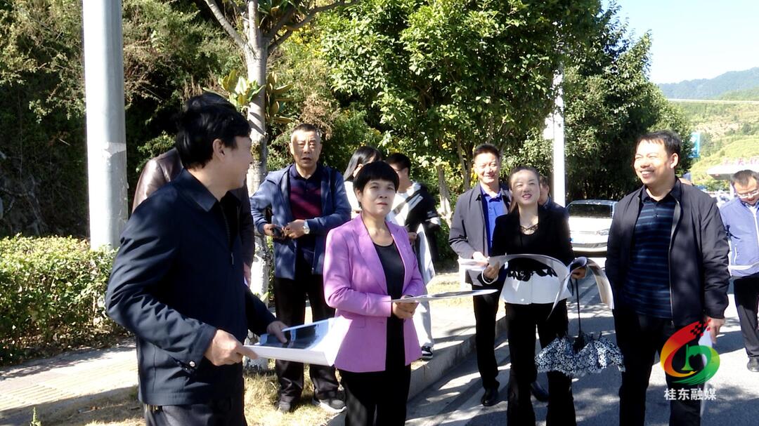 刘真调度沙田军规红农旅产业园项目