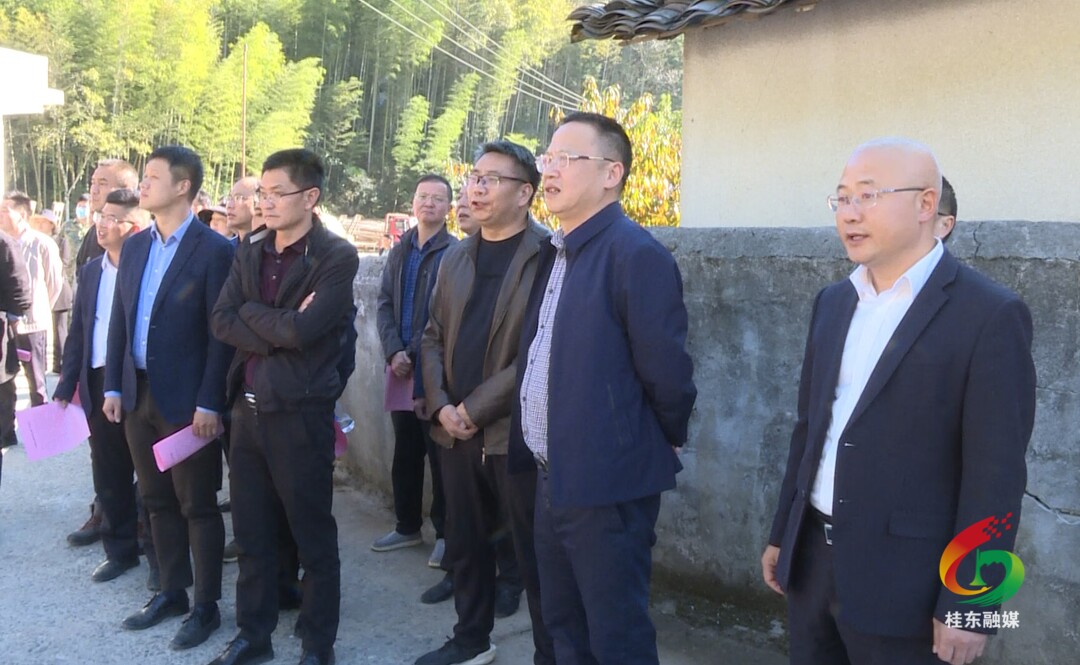 我县组织开展2022年重大项目现场观摩活动