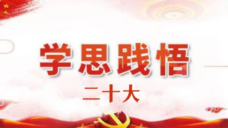 学思践悟二十大