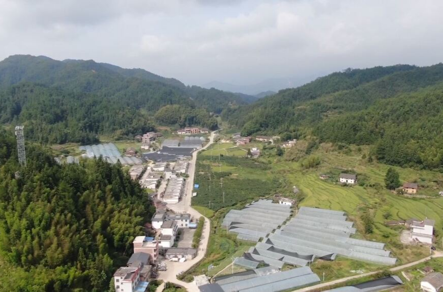 喜迎二十大|话十年•向未来 乡村振兴开新局  “农”墨重彩绘新篇