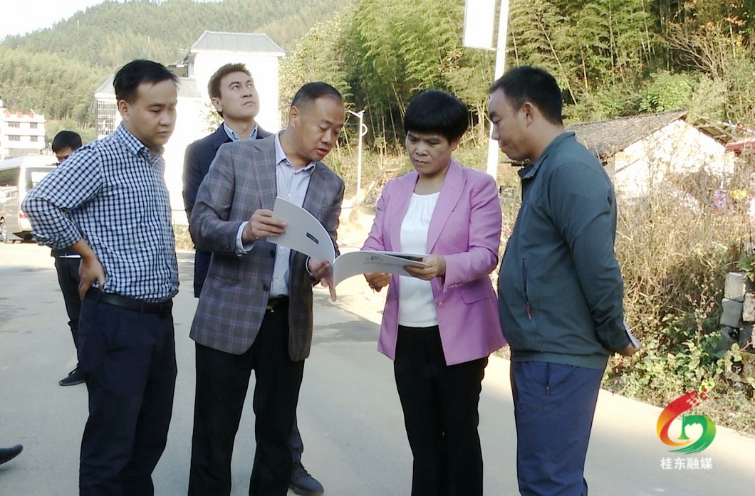 刘真调研金洞康养文旅项目