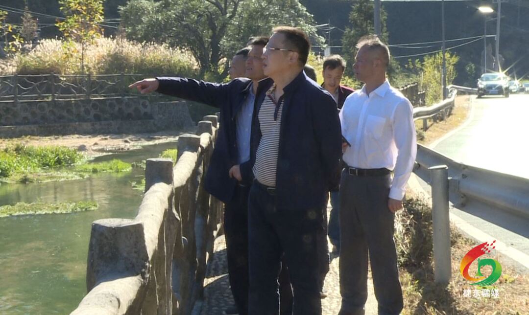 伍志平调研青竹村“两个基地”建设和森林防灭火等工作