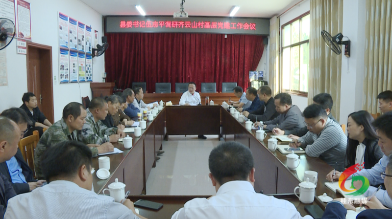 伍志平调研普乐镇齐云山村基层党建等工作