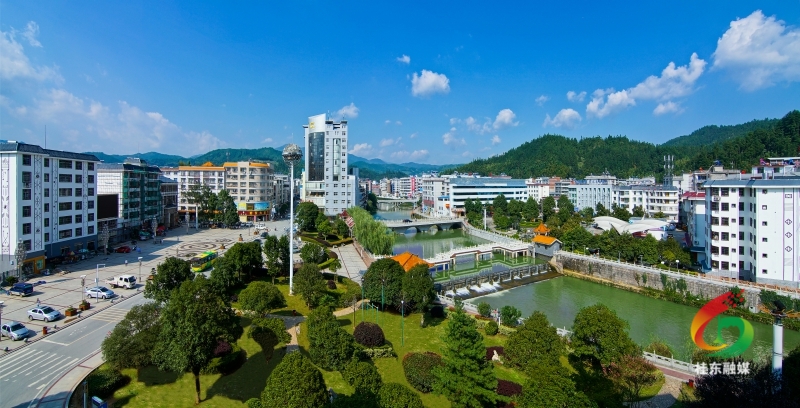 庆祝二十大 | 话十年•向未来：做好融合文章 绘就文旅发展新画卷