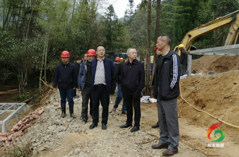 伍志平调度青竹村“两个基地”建设和人居环境整治等工作