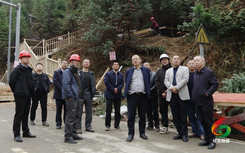伍志平调度青竹村“两个基地”建设和人居环境整治等工作