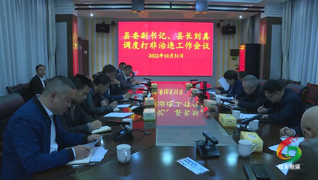 刘真调度打非治违工作