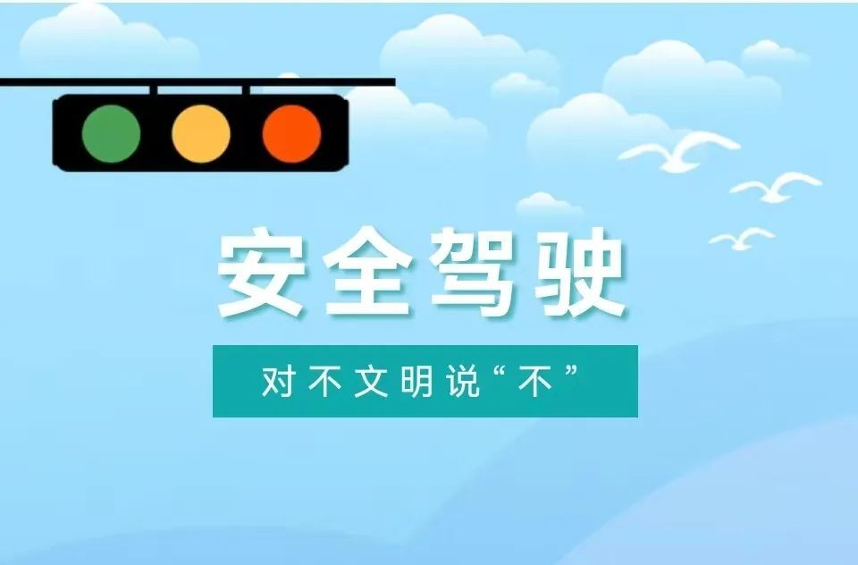 交通安全知识丨文明交通 安全出行
