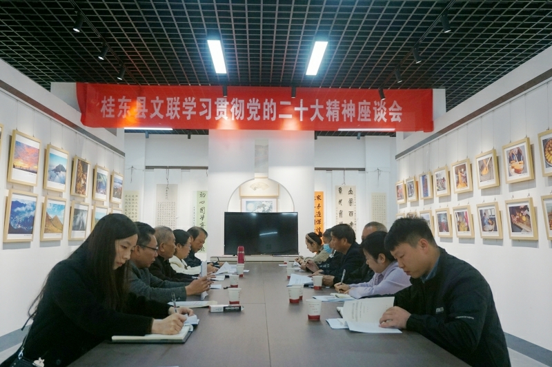 县文联召开学习贯彻党的二十大精神座谈会