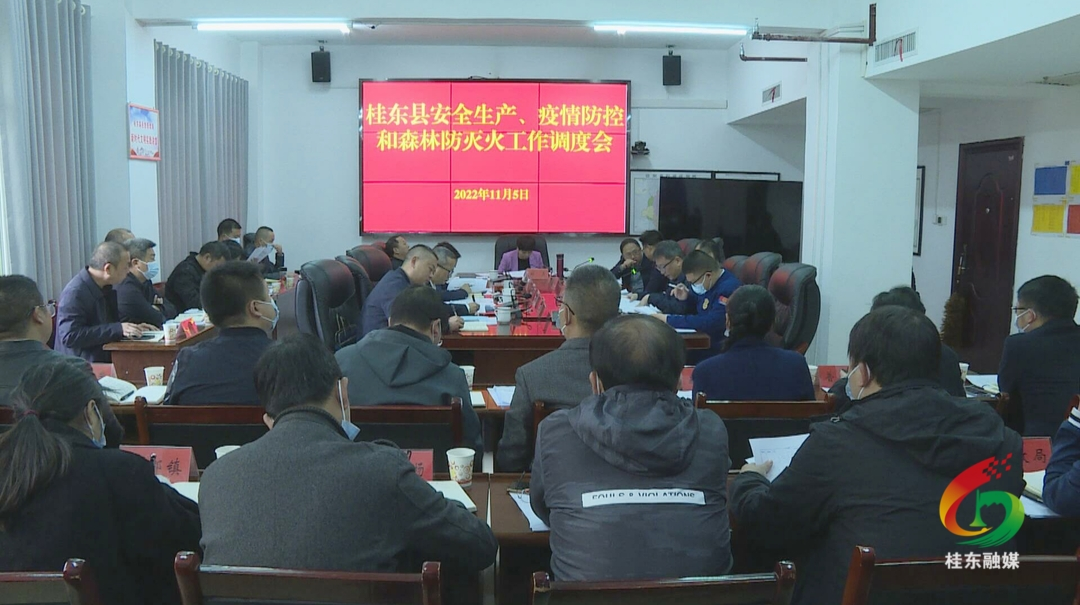刘真调度我县安全生产、疫情防控、森林防灭火和经济运行工作