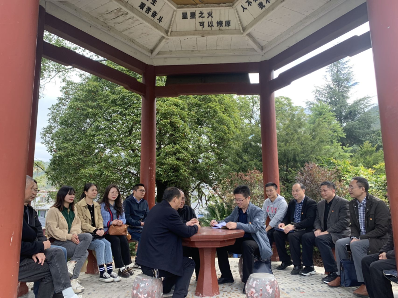 县委政法委机关党员赴新坊乡龙溪村开展“一课一片一实践”主题党日活动