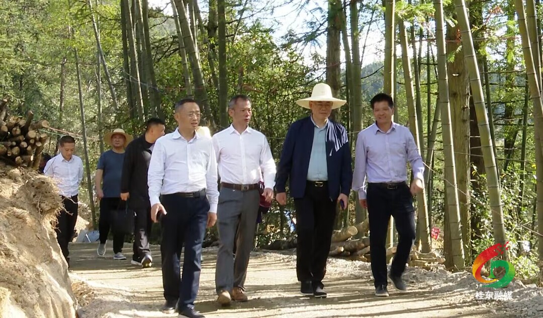 省市政协领导考察调研我县青竹村“两个基地”建设工作